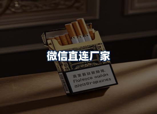 专业团队办公环境